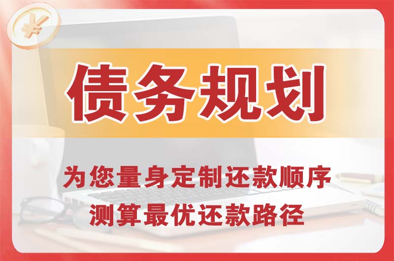 肥城债务规划